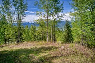 Photo 21: 5070 Ridge Road, in Eagle Bay: Vacant Land for sale : MLS®# 10268955