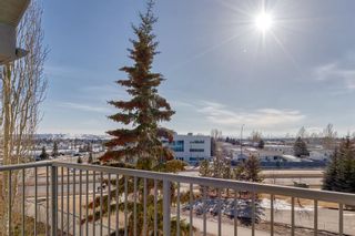 Photo 3: 414 33 Arbour Grove Close NW in Calgary: Arbour Lake Apartment for sale : MLS®# A2036582