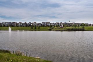 Photo 30: 6 Brightoncrest Common SE in Calgary: New Brighton Detached for sale : MLS®# A1253470