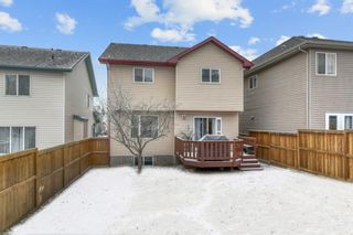 Photo 30: 14 Evansbrooke Terrace NW in Calgary: Evanston Detached for sale : MLS®# A1189740