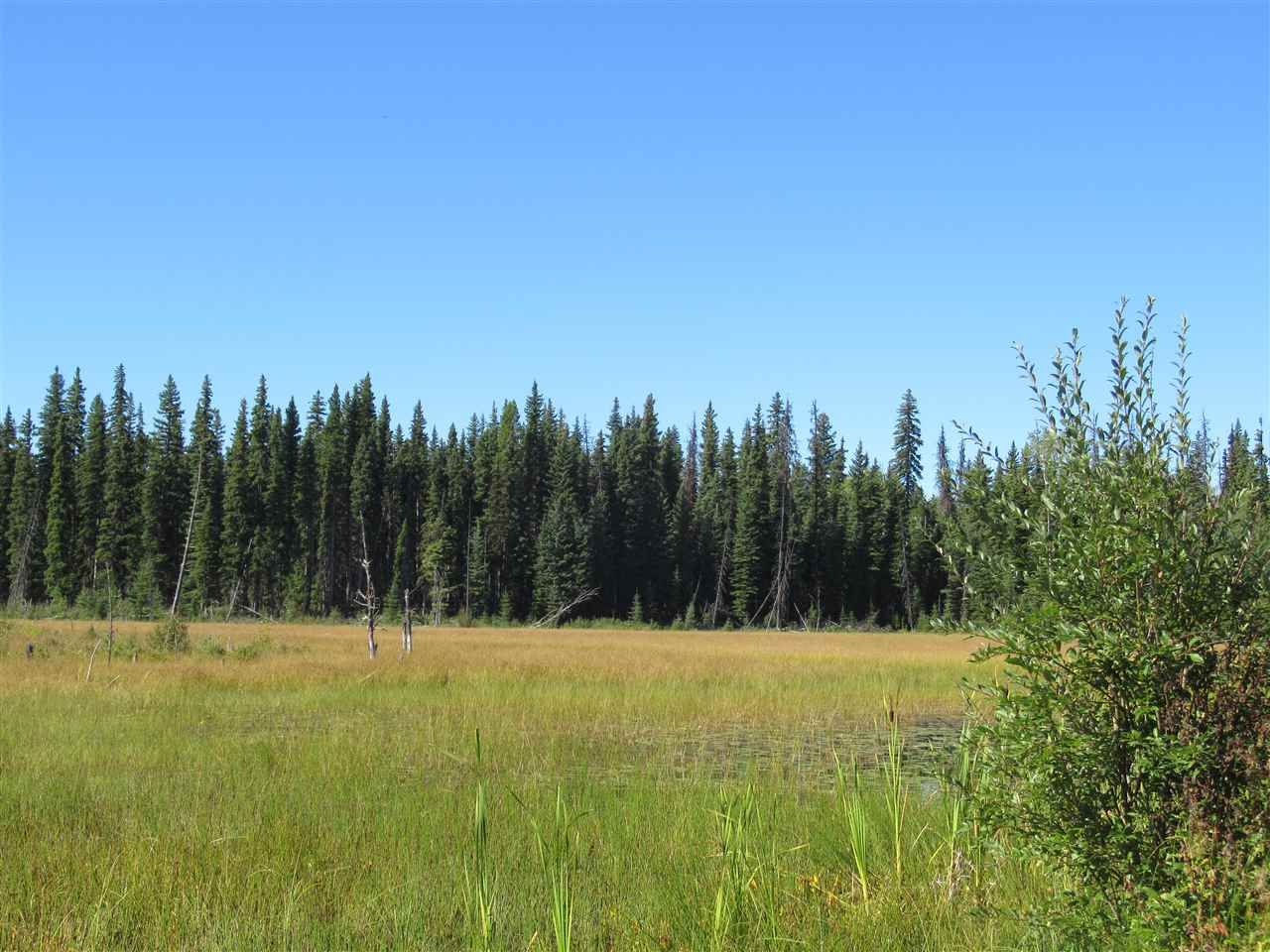 Main Photo: DL 6426 TONKA Road: 150 Mile House Land for sale (Williams Lake (Zone 27))  : MLS®# R2497364