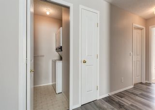 Photo 15: 306 4306 Valleyview Park SE in Calgary: Dover Apartment for sale : MLS®# A2002811