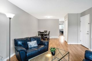 Photo 13: 139 Bergen Crescent NW in Calgary: Beddington Heights Semi Detached (Half Duplex) for sale : MLS®# A2054279