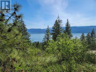 Photo 3: 10465 Columbia Way in Vernon: Vacant Land for sale : MLS®# 10307756