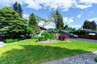 Photo 33: 12140 DOVER Street in Maple Ridge: West Central House for sale : MLS®# R2880561