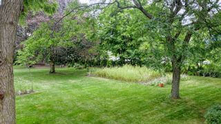 Photo 5: 0 Clifton Road in Port Hope: Land Only for sale : MLS®# 40051321