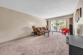 Photo 14: 312 331 KNOX Street in New Westminster: Sapperton Condo for sale : MLS®# R2786286