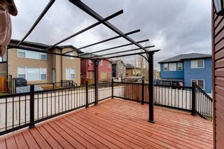 Photo 44: 201 Evanspark Circle NW in Calgary: Evanston Detached for sale : MLS®# A2118953