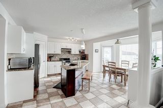 Photo 11: 202 Royal Birch View NW in Calgary: Royal Oak Detached for sale : MLS®# A2018751