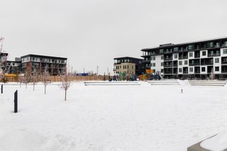 Photo 13: 206 3130 Thirsk Street NW in Calgary: University District Apartment for sale : MLS®# A2031981