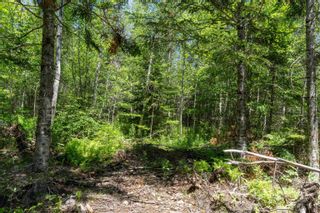 Photo 15: Lot 8 Old Renfrew Road in Upper Rawdon: 105-East Hants/Colchester West Vacant Land for sale (Halifax-Dartmouth)  : MLS®# 202306243
