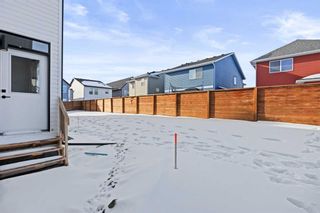Photo 43: 49 Copperhead Road SE in Calgary: Copperfield Detached for sale : MLS®# A2104141