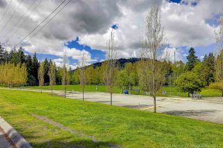 Photo 14: 159 200 WESTHILL Place in Port Moody: College Park PM Condo for sale in "WESTHILL" : MLS®# R2166332