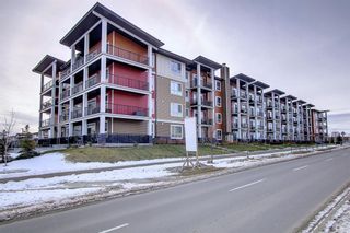 Photo 36: 105 20 Walgrove SE in Calgary: Walden Apartment for sale : MLS®# A2013570