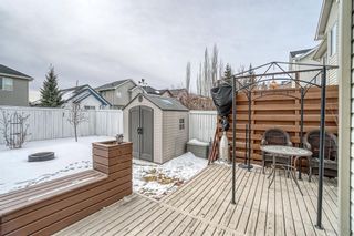 Photo 34: 427 Bridlewood Avenue SW in Calgary: Bridlewood Detached for sale : MLS®# A1187607