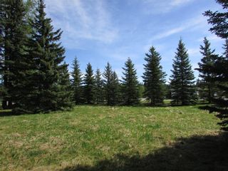Photo 21: 127, 5241 TWP Rd 325A: Rural Mountain View County Land for sale : MLS®# C4299936