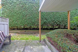 Photo 29: 28 8716 WALNUT GROVE Drive in Langley: Walnut Grove Townhouse for sale in "Willow Arbour" : MLS®# R2831754
