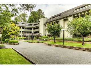 Photo 16: 217 1200 PACIFIC Street in Coquitlam: North Coquitlam Condo for sale in "GLENVIEW MANOR" : MLS®# V1070671