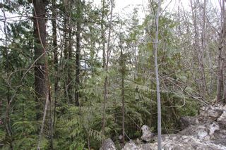 Photo 1: Lot 28 Vickers Trail in Anglemont: North Shuswap Land Only for sale (Shuswap)  : MLS®# 10093853