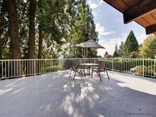 Photo 8: 4515 MOUNTAIN Highway in North Vancouver: Lynn Valley House for sale : MLS®# V1030130