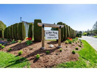 Photo 3: 51 27456 32 Avenue in Langley: Aldergrove Langley Townhouse for sale in "Cedar Park Estates" : MLS®# R2261779