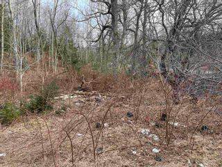 Photo 1: 7399 Highway 4 in Pine Tree: 108-Rural Pictou County Vacant Land for sale (Northern Region)  : MLS®# 202205920