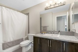 Photo 31: 14 Walden Grove SE in Calgary: Walden Detached for sale : MLS®# A2124458