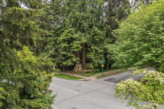 Photo 17: 307 1111 LYNN VALLEY Road in North Vancouver: Lynn Valley Condo for sale in "The Dakotas" : MLS®# R2704954