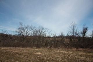 Photo 2: 2nd Line in Roseneath: Land Only for sale : MLS®# 188329