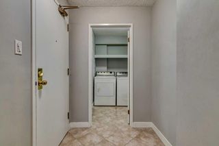 Photo 28: 5D 133 25 Avenue SW in Calgary: Mission Apartment for sale : MLS®# A2068257