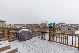 Photo 31: 550 LUXSTONE Place SW: Airdrie Detached for sale : MLS®# C4293156