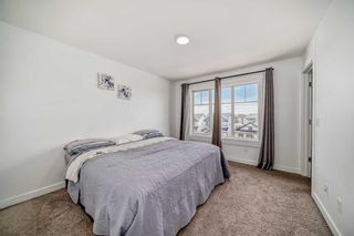 Photo 28: 248 Skyview Ranch Way NE in Calgary: Skyview Ranch Row/Townhouse for sale : MLS®# A2124749