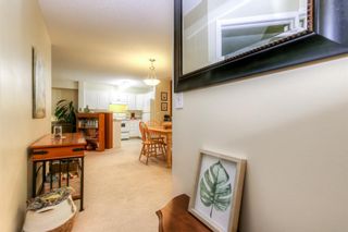 Photo 30: 1303 1000 Citadel Meadow Point NW in Calgary: Citadel Apartment for sale : MLS®# A2049458