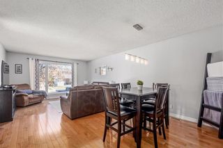 Photo 11: 47 Highgate Crescent in Winnipeg: River Park South Residential for sale (2F)  : MLS®# 202310270