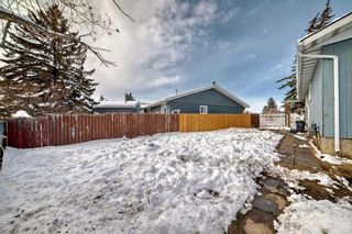 Photo 29: 176 Dovely Crescent SE in Calgary: Dover Detached for sale : MLS®# A2118047
