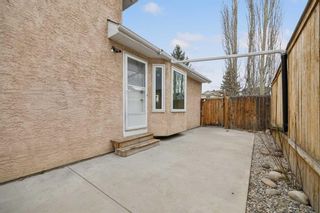 Photo 29: 241 Taradale Close NE in Calgary: Taradale Detached for sale : MLS®# A2129903