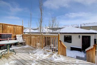 Photo 23: 24 Skyview Ranch Lane NE in Calgary: Skyview Ranch Semi Detached for sale : MLS®# A1175919
