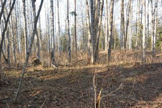 Photo 10: LOT A KLOECKNER Road in Smithers: Smithers - Rural Land for sale (Smithers And Area (Zone 54))  : MLS®# R2598861