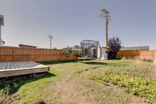 Photo 38: 115 Tarington Road NE in Calgary: Taradale Detached for sale : MLS®# A2081120