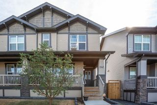 Photo 2: 242 SKYVIEW RANCH Boulevard NE in Calgary: Skyview Ranch Semi Detached for sale : MLS®# A1029640