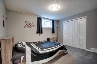Photo 45: 13045 Coventry Hills Way NE in Calgary: Coventry Hills Detached for sale : MLS®# A1193806
