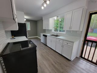 Photo 10: 1005 Alma Road in Sylvester: 108-Rural Pictou County Residential for sale (Northern Region)  : MLS®# 202222347