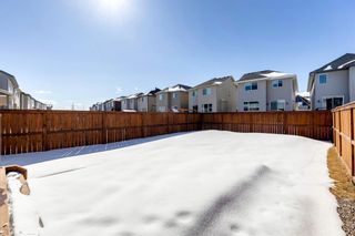 Photo 39: 299 Nolan Hill Drive NW in Calgary: Nolan Hill Detached for sale : MLS®# A2031694