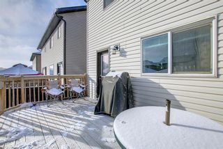 Photo 22: 24 Skyview Ranch Lane NE in Calgary: Skyview Ranch Semi Detached for sale : MLS®# A1175919