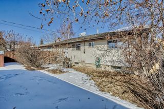Photo 30: 2839 Cedar Ridge Drive SW in Calgary: Cedarbrae Detached for sale : MLS®# A2034681