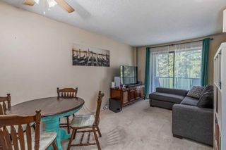Photo 8: 1208 3115 51 Street SW in Calgary: Glenbrook Apartment for sale : MLS®# A2068400