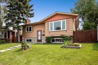 Photo 1: 115 Doverthorn Bay SE in Calgary: Dover Detached for sale : MLS®# A2072116