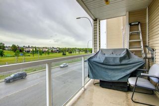 Photo 13: 303 270 Shawville Way SE in Calgary: Shawnessy Apartment for sale : MLS®# A1242112