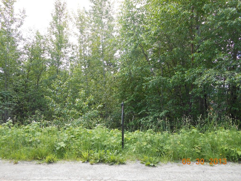 Main Photo: 247 Aspen Road in Anglemont: Land Only for sale : MLS®# 10066280