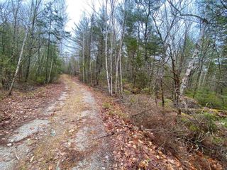 Photo 8: 11 Peter’s Point Roads in South Brookfield: 406-Queens County Vacant Land for sale (South Shore)  : MLS®# 202321308